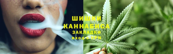 ПСИЛОЦИБИНОВЫЕ ГРИБЫ Переславль-Залесский