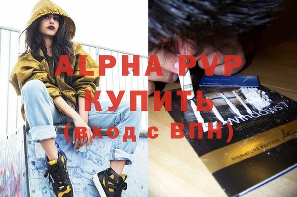 ПСИЛОЦИБИНОВЫЕ ГРИБЫ Переславль-Залесский